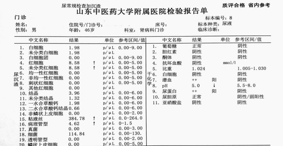 尿液常规检查项目